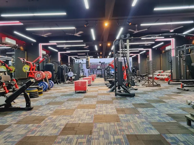 Sculpt Gym Premium