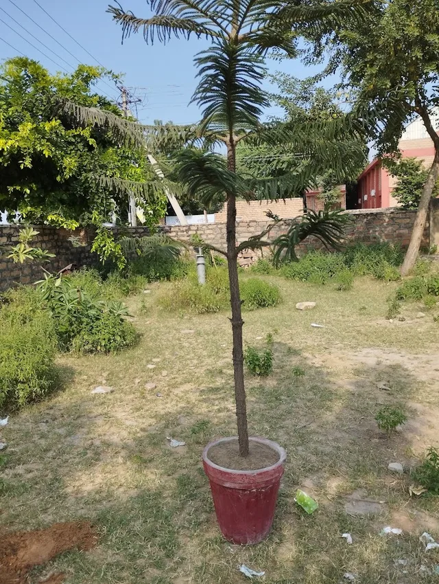 Volleyball ground 23 sector