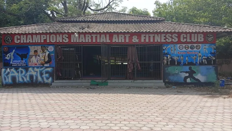 Champion's Martial ART and Fitness Club — Art & Craft in Lashkar