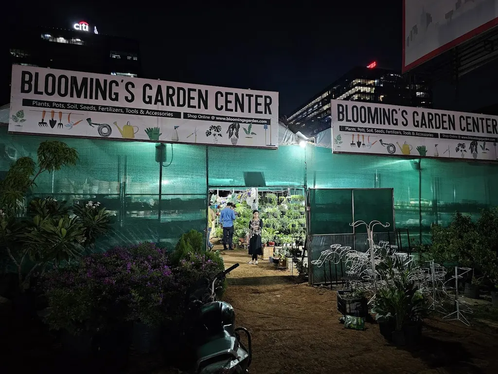 Blooming's Garden Centre — Art & Craft in Kharadi