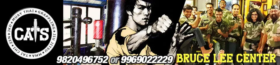 Combat And Tactics School (CATS) — Martial Arts in Thane West, Thane