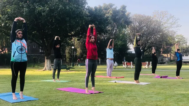 Yoga Classes in Chandigarh — Yoga in Sector 20