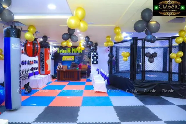 Tiger MMA — Martial Arts in Banjara Hills