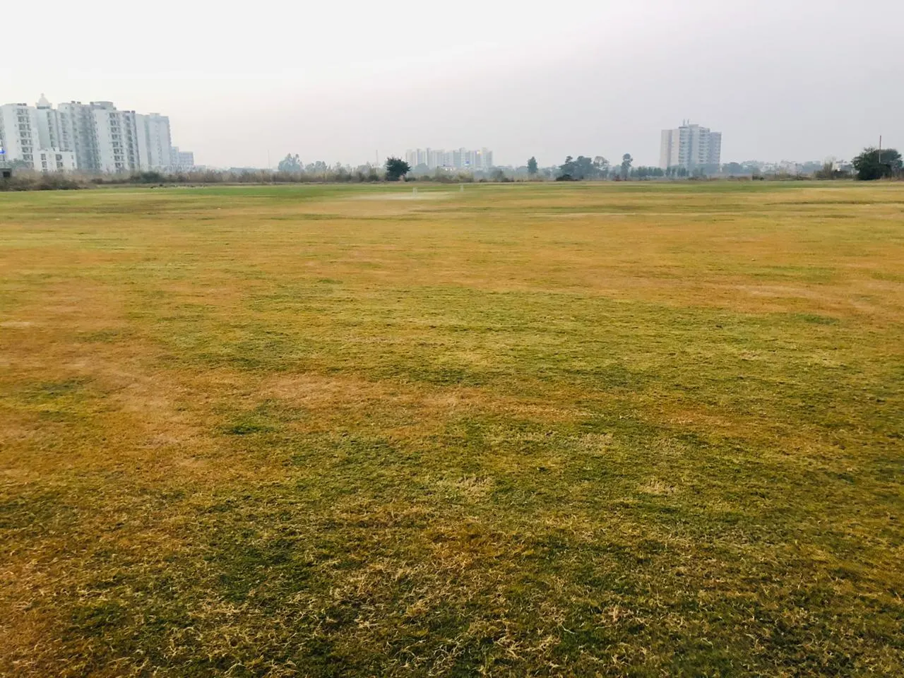 Brothers Cricket Ground and academy Chapparchidi — Cricket in Sector 91, Mohali