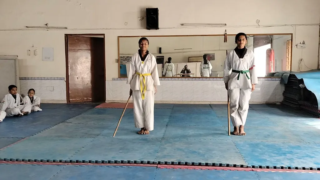 Taekwondo Association Distrct SAS Nagar Mohali (R) — Martial Arts in Kharar