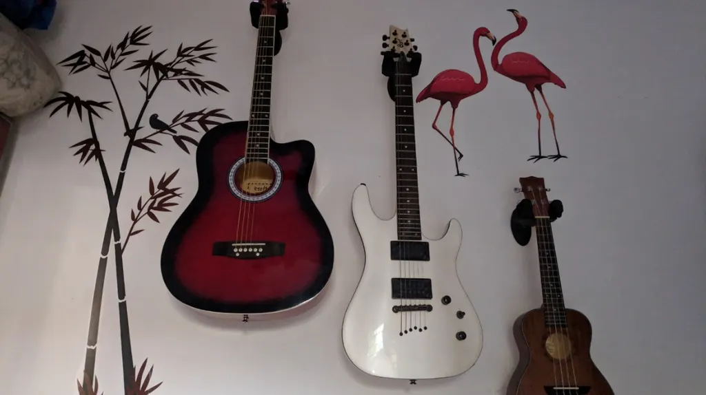 Guitar teacher near me(Rahul Singh) — Music in Patuli