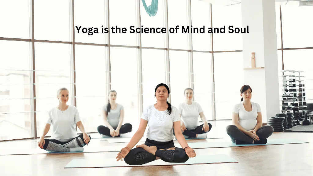R Yoga Studio — Yoga in Chandrabani