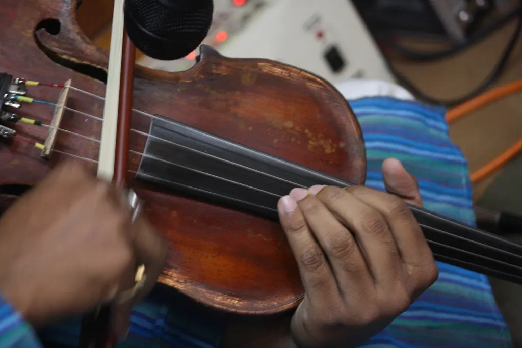 Aaroh Music(Violin & Vocal) Classes — Music in Pimple Saudagar