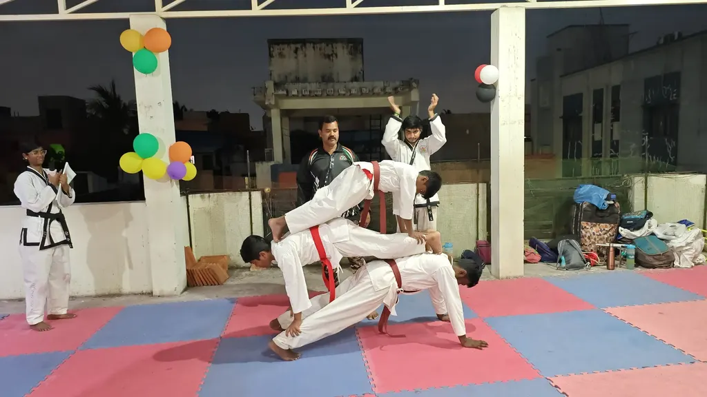 Taekwondo and silambam Training centre — Martial Arts in Adambakkam