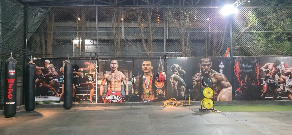 WFFC - MMA & Fitness Club — Martial Arts in Lohegaon