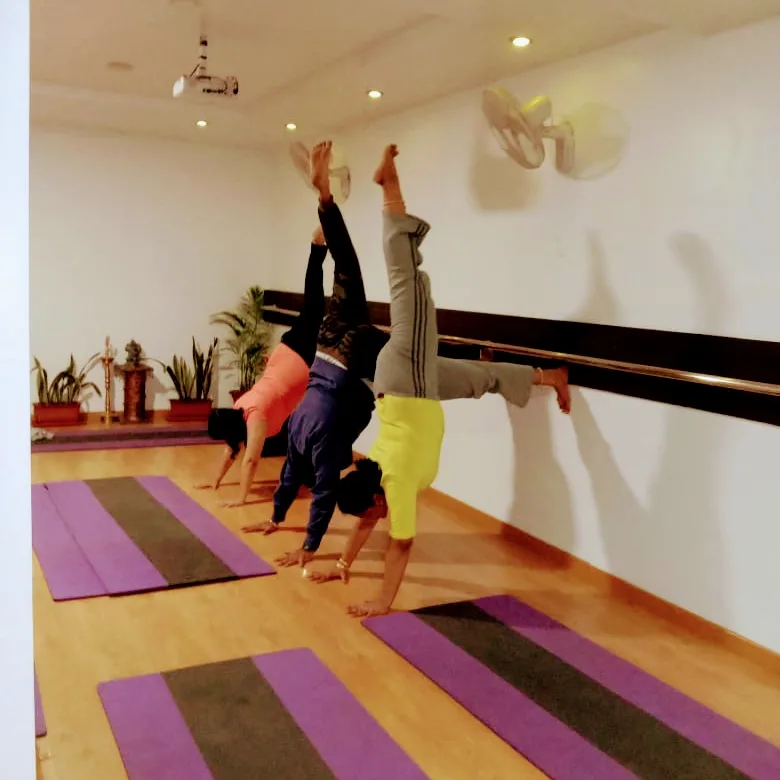 Vinyas Yoga Studio photo 1