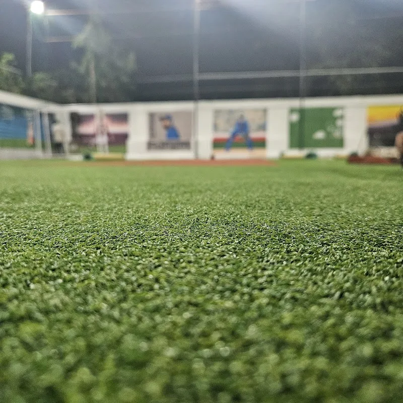 Big Shot by Teagather — Cricket in Sirol
