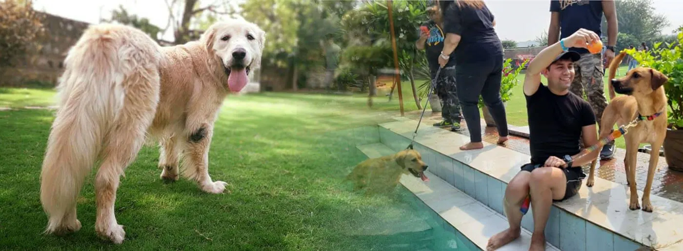 Pet Lovers Hut - Dog Boarding School — Swimming in Fatehpur Beri, Delhi