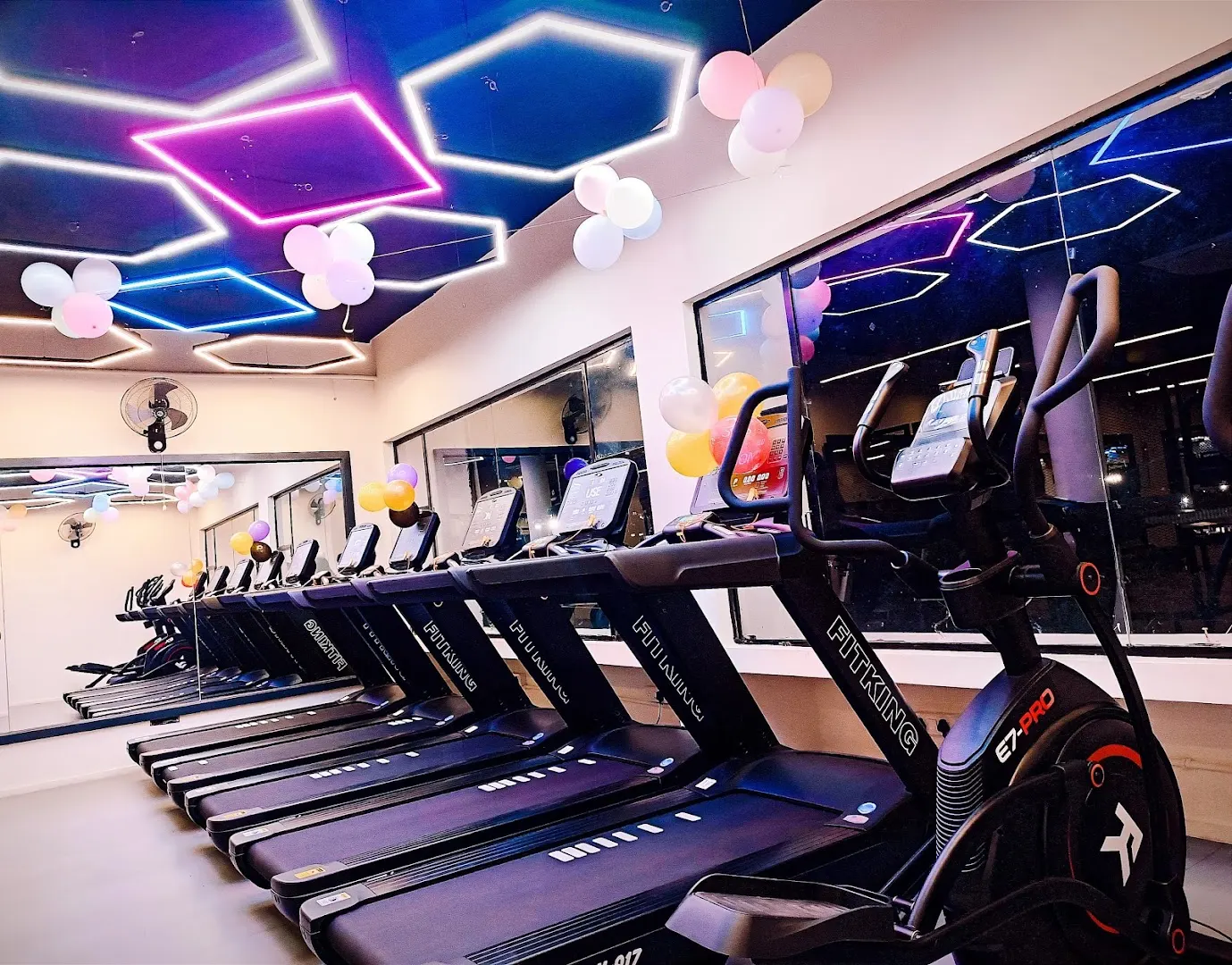 The Bodyline Gym — Standard Gym in Sector 20, Panchkula