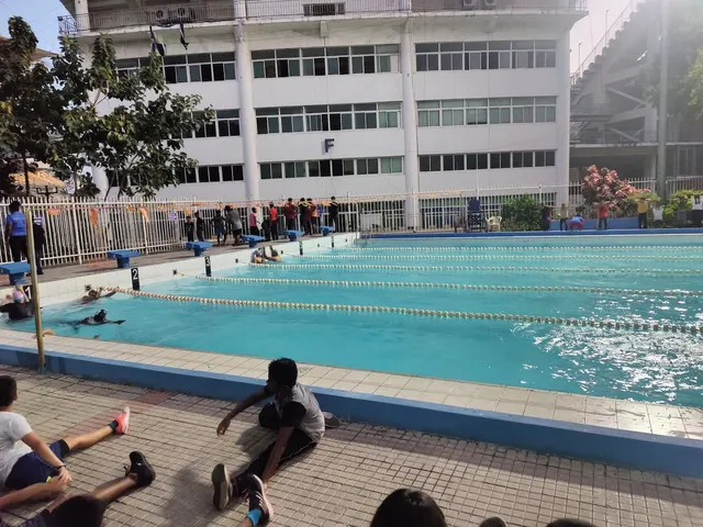 Turtles Swim School — Swimming in Triplicane
