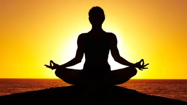 Yoga for Wellness — Yoga in Parvati Paytha