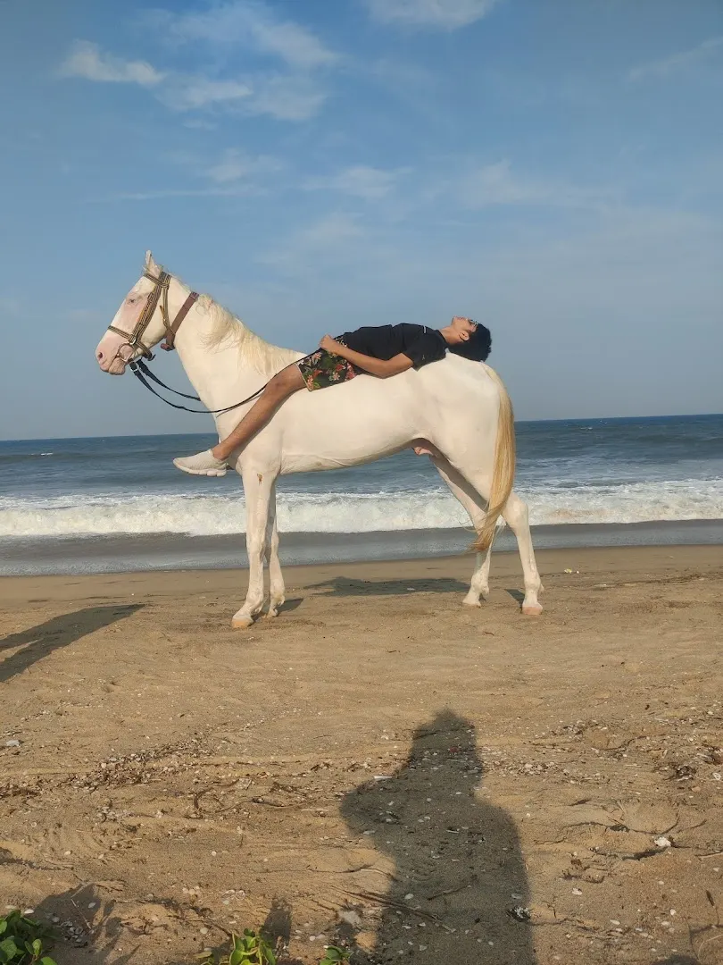 Royal Sports Academy — Horse Riding in Panaiyur