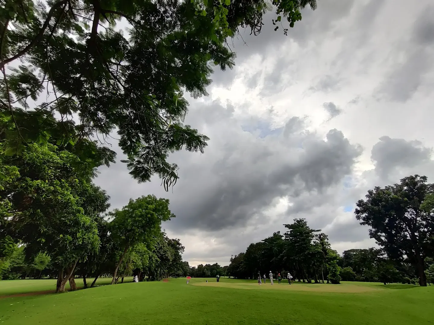 The Tollygunge Club — Other Sports in Tollygunge, Kolkata