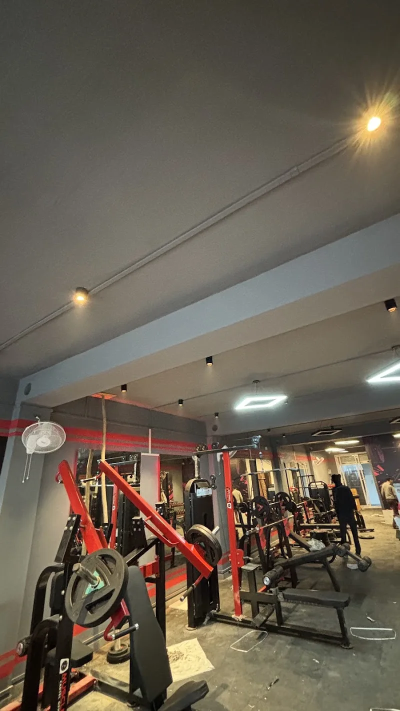 Muscle Cartel Gym — Standard Gym in Meerapur Basahi
