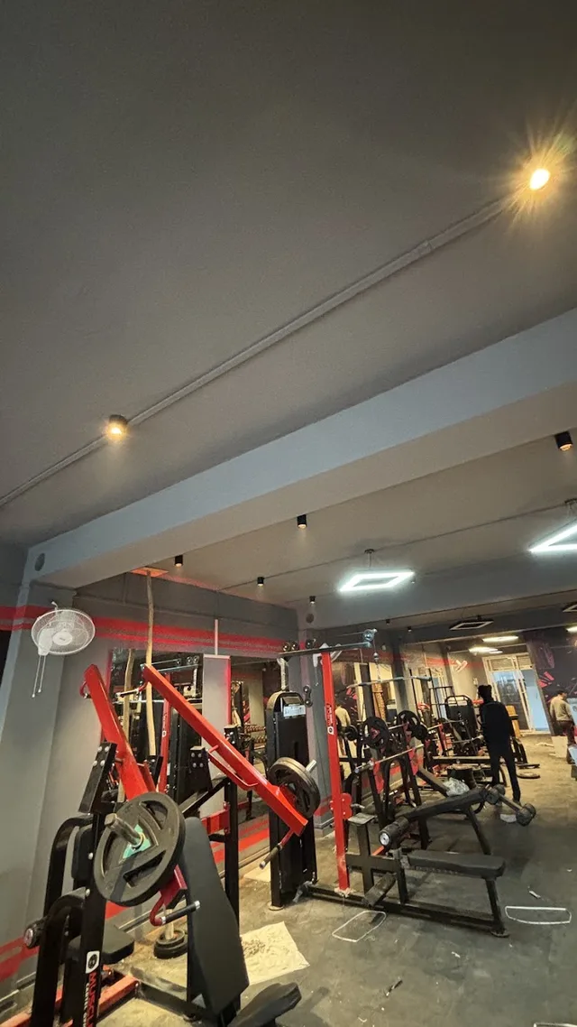 Muscle Cartel Gym
