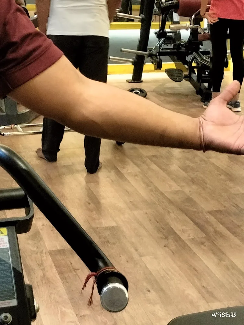Hawk Fitness — Shikargad