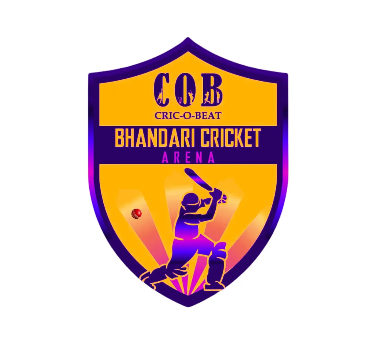 Bhandari Cricket Arena — Cricket in Yelahanka New Town, Bengaluru