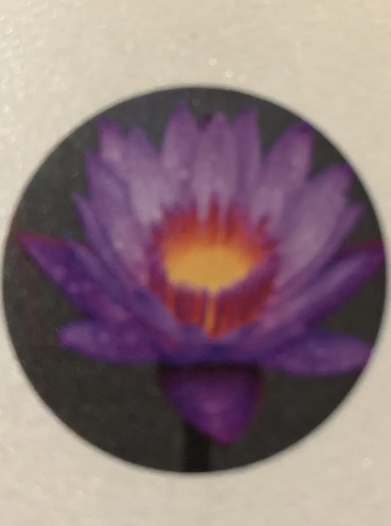 Yoganirvrti — Yoga in Sholinganallur