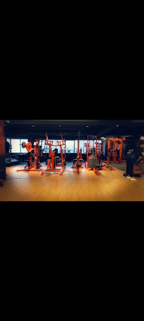 MUSCLE FITNESS GYM