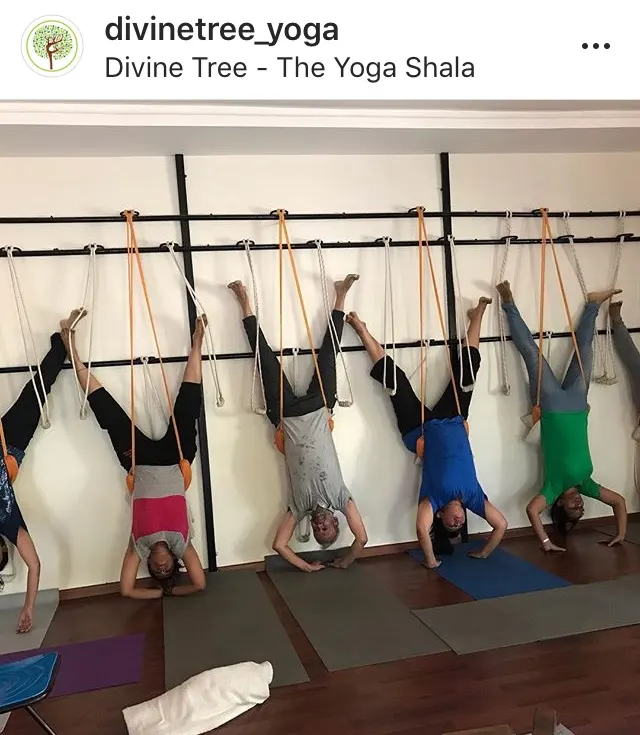 DIVINE TREE — Yoga in Bowenpally