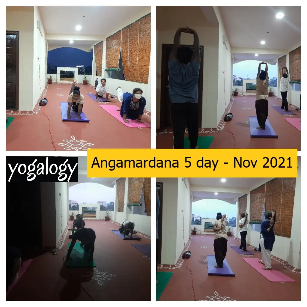 Yogalogy — Yoga in Gachibowli