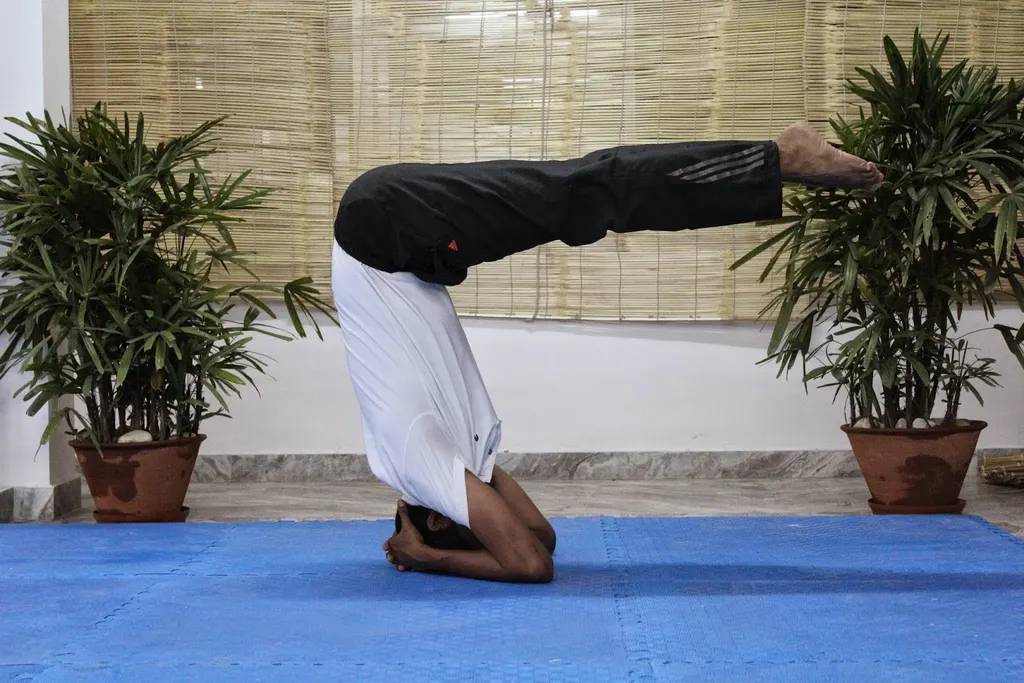 KV's Fitness Studio — Yoga in Bapu Nagar