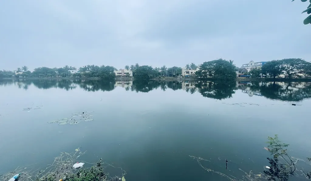 Puludhivakkam Lake view — Swimming in Madipakkam