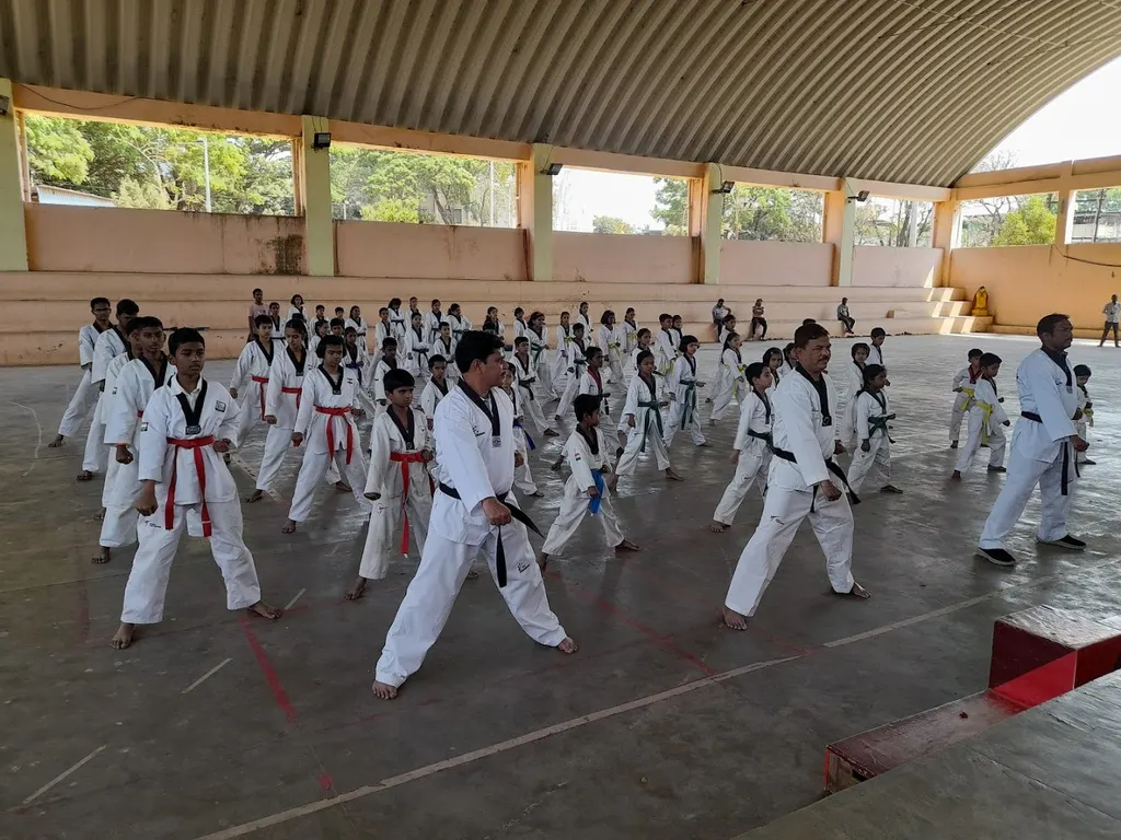 Siddhi Vinayak Fighters Taekwondo Academy — Martial Arts in Pimpri Colony