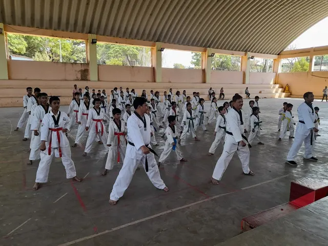 Siddhi Vinayak Fighters Taekwondo Academy — Martial Arts in Pimpri Colony