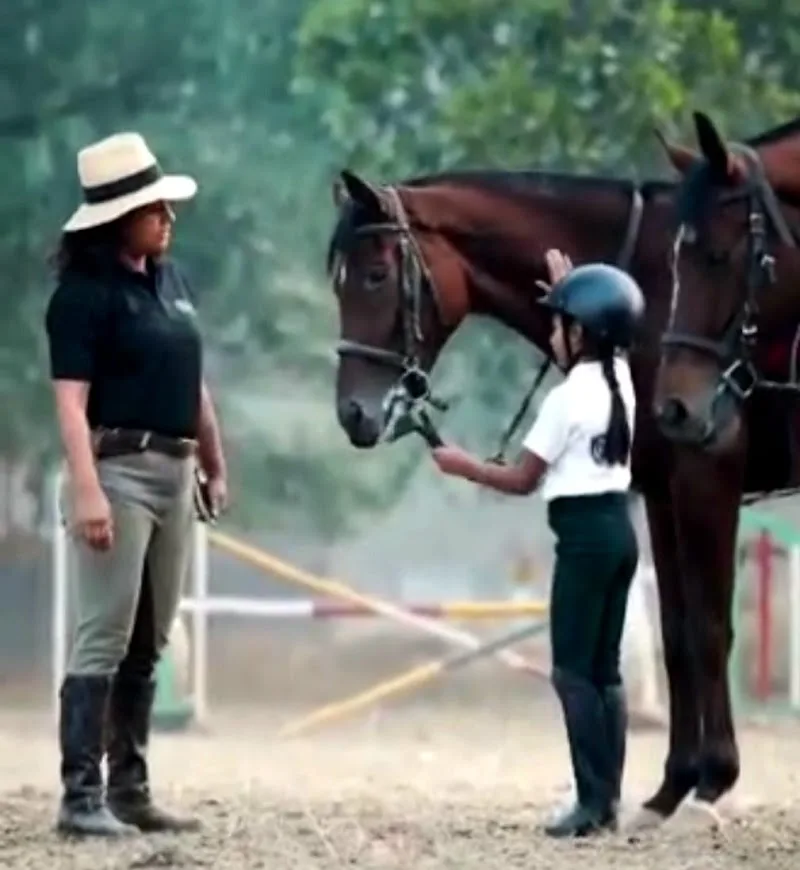 Brego & Hecter equestrian management company — Horse Riding in Dharampura