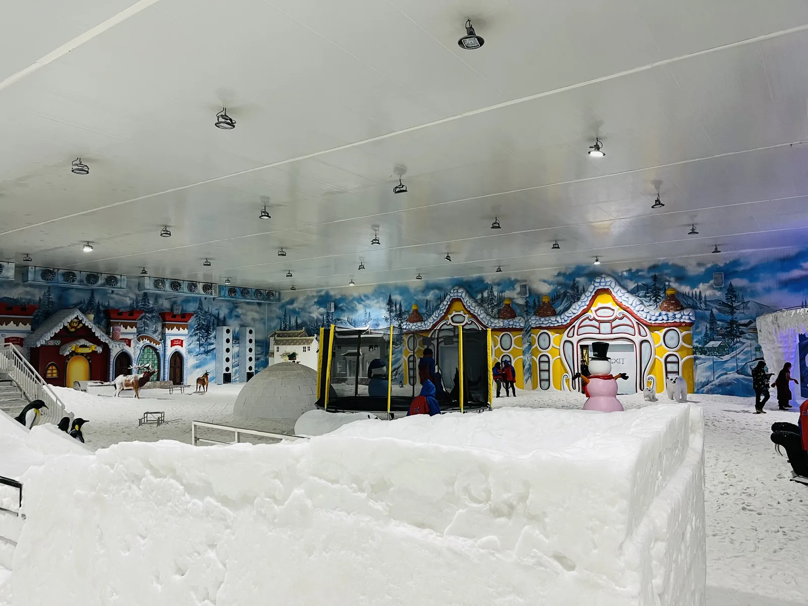 Snow Kingdom — Outdoor Adventure Facilities in Punjagutta, Secunderabad