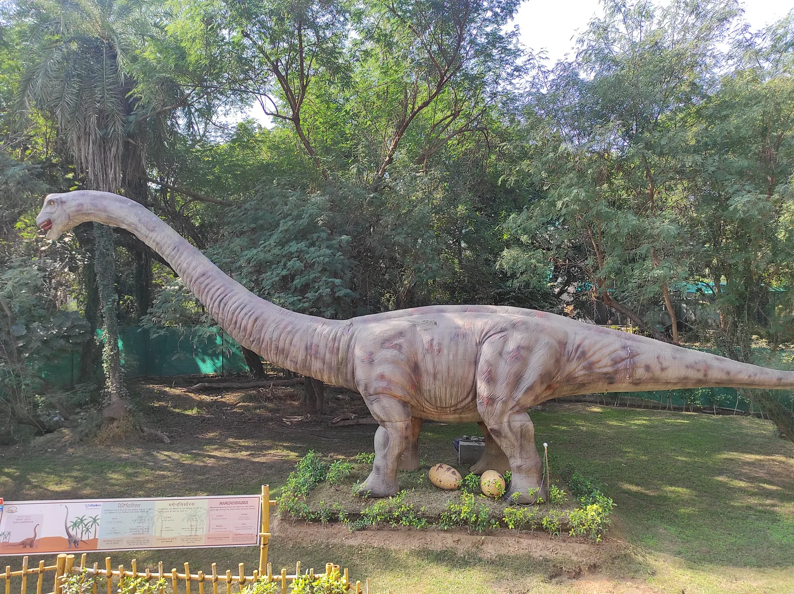 Chhatbir Dinosaurs Park — Outdoor Adventure Facilities in Krishna Enclave, Panchkula