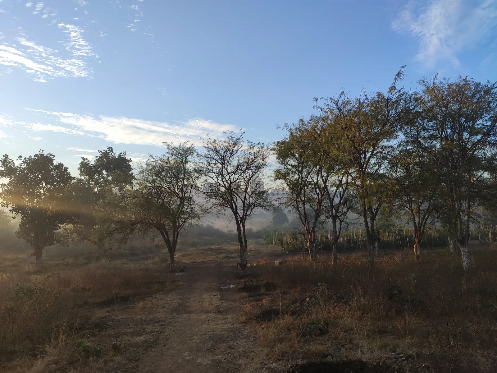 Adventure Sports Ecological Oxygen Park (WALMI) — Outdoor Adventure Facilities in Bhopal, Bhopal