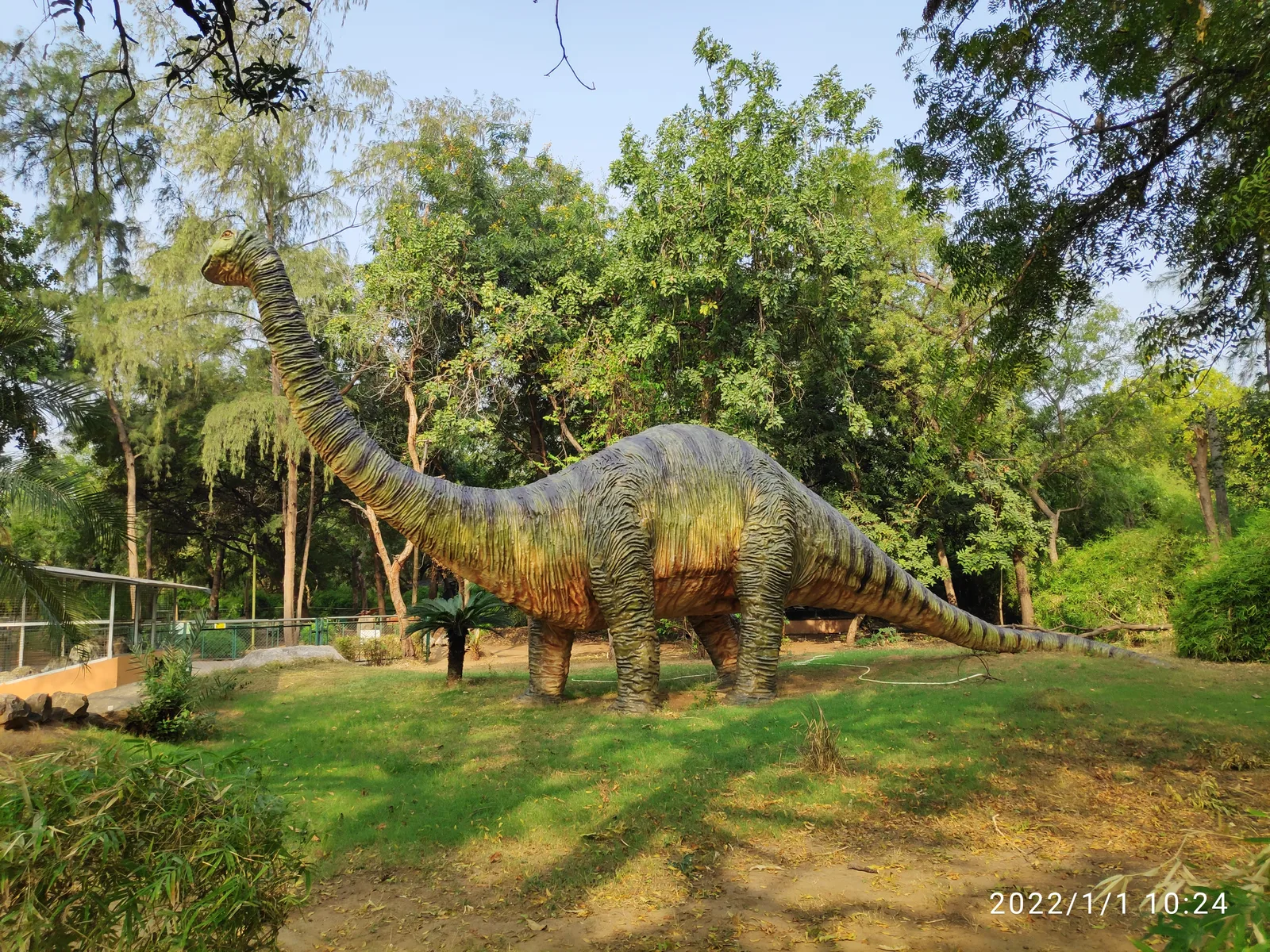 Dinosaur & Fossil Park — Outdoor Adventure Facilities in Gandhinagar, Gandhinagar