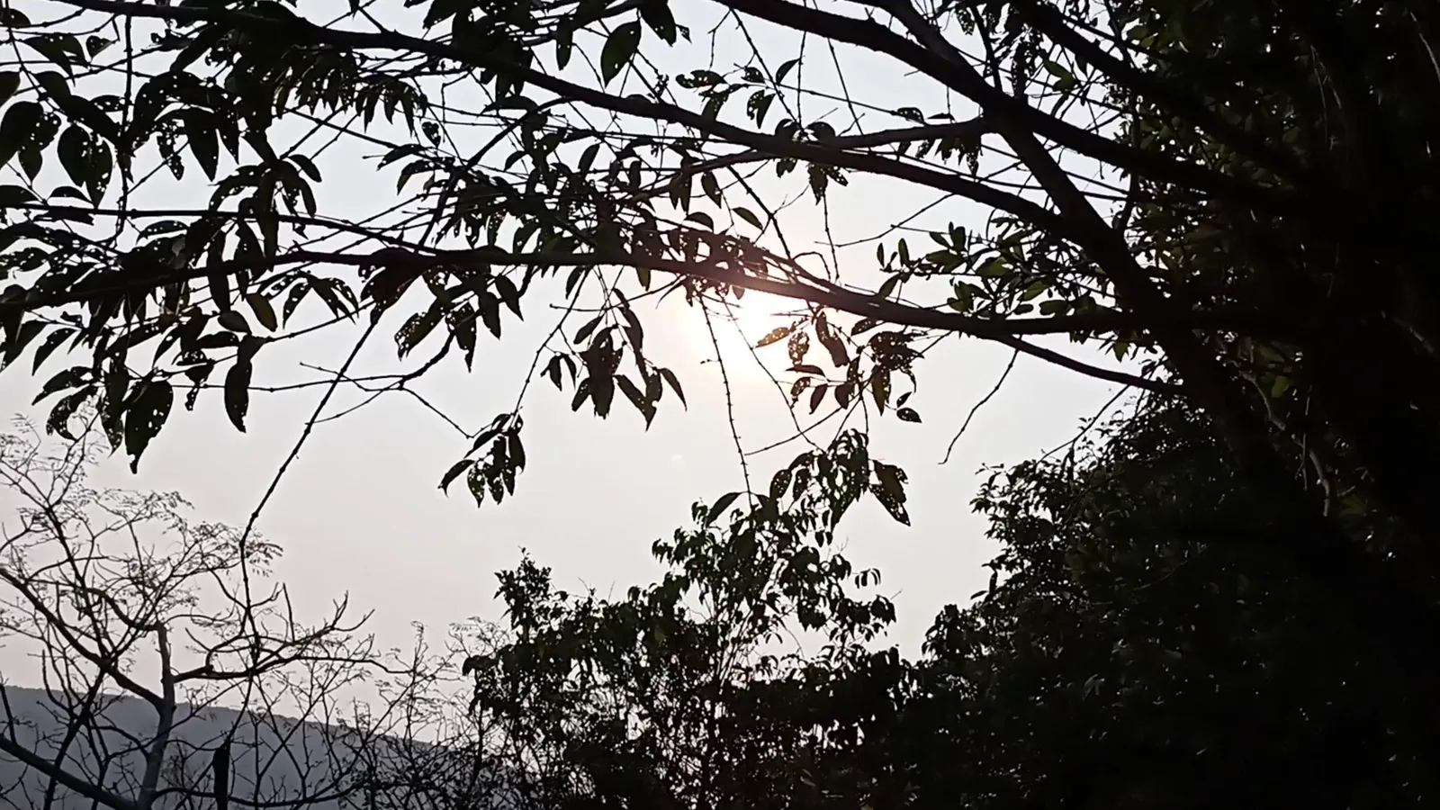 Kambala Konda Hiking & Trekking Zone — Outdoor Adventure Facilities in Hanumanthuwaka, Visakhapatnam