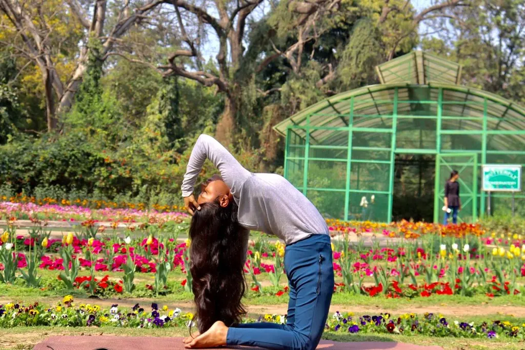 sujata yogini home yoga clasess — Yoga in Sector 105