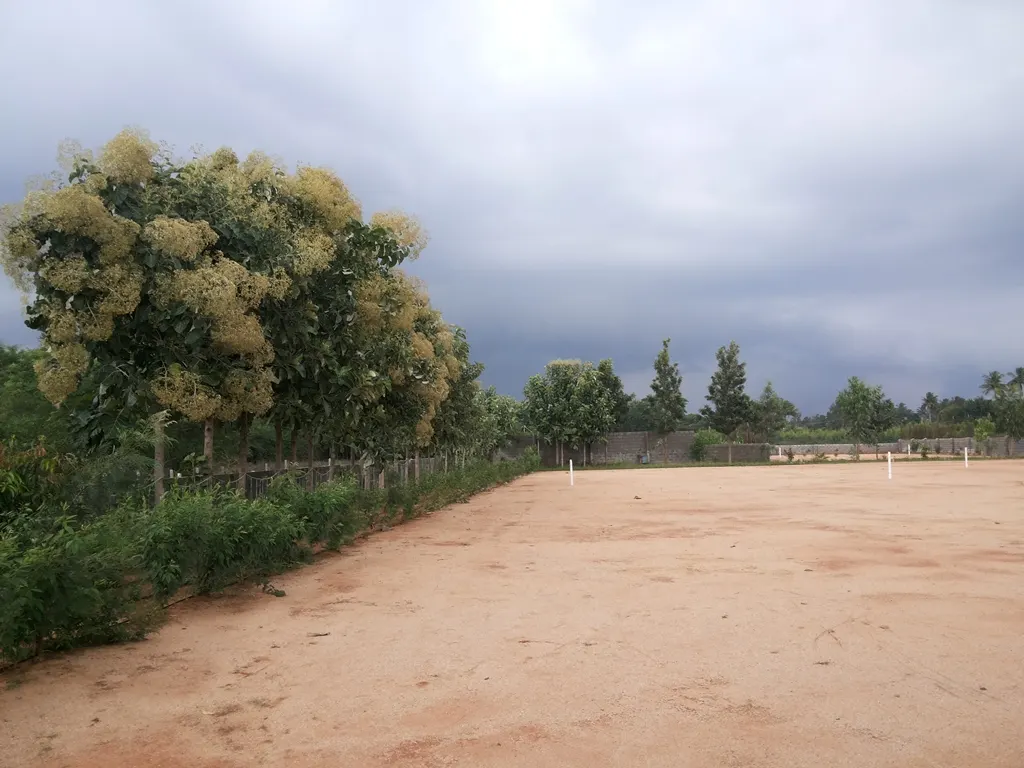 Archana Tennis Academy — Tennis in Ejipura