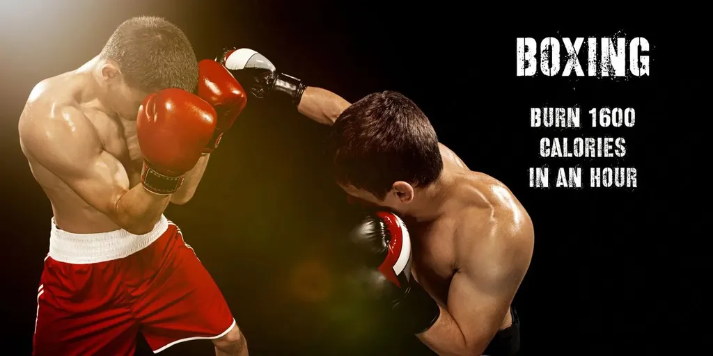 Delhi Boxing Classes | Knockout Boxing Academy Tilak Nagar — Martial Arts in Tilak Nagar